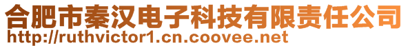 合肥市秦漢電子科技有限責任公司