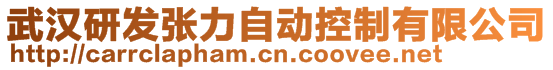 武漢研發(fā)張力自動控制有限公司