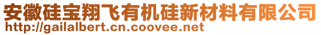 安徽硅寶翔飛有機硅新材料有限公司