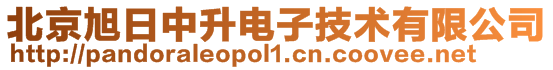 北京旭日中升電子技術有限公司