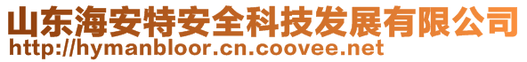 山東海安特安全科技發(fā)展有限公司