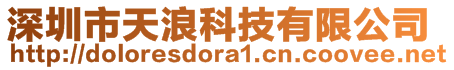 深圳市天浪科技有限公司