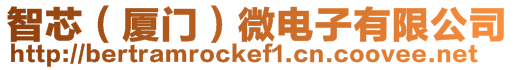 智芯（廈門）微電子有限公司