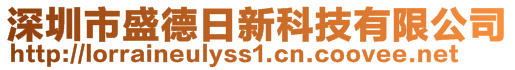 深圳市盛德日新科技有限公司