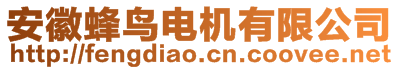 安徽蜂鳥電機(jī)有限公司