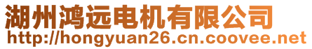 湖州鴻遠(yuǎn)電機有限公司