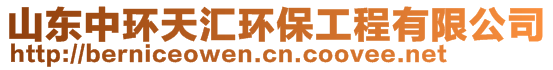山東中環天匯環保工程有限公司