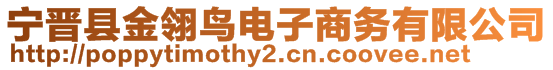 寧晉縣金翎鳥電子商務有限公司