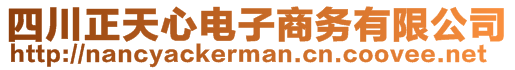 四川正天心電子商務(wù)有限公司