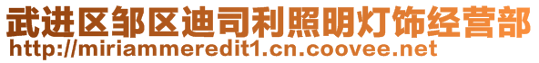 武進區(qū)鄒區(qū)迪司利照明燈飾經(jīng)營部