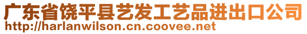 廣東省饒平縣藝發(fā)工藝品進(jìn)出口公司