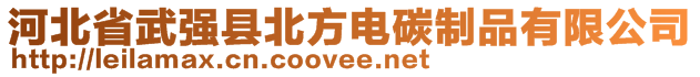 河北省武強(qiáng)縣北方電碳制品有限公司