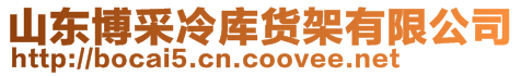 山東博采冷庫貨架有限公司