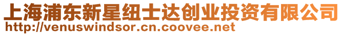 上海浦東新星紐士達(dá)創(chuàng)業(yè)投資有限公司
