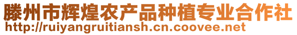 滕州市輝煌農產品種植專業合作社
