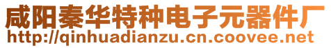 咸陽(yáng)秦華特種電子元器件廠