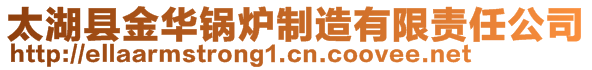 太湖縣金華鍋爐制造有限責任公司