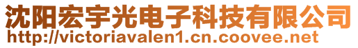 沈阳宏宇光电子科技有限公司