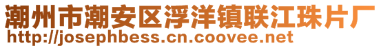 潮州市潮安區(qū)浮洋鎮(zhèn)聯(lián)江珠片廠