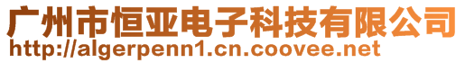 廣州市恒亞電子科技有限公司