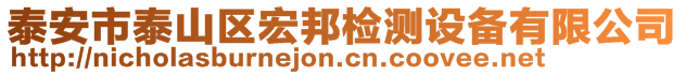 泰安市泰山區宏邦檢測設備有限公司