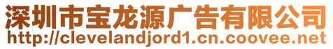 深圳市寶龍?jiān)磸V告有限公司