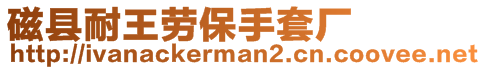 磁縣耐王勞保手套廠