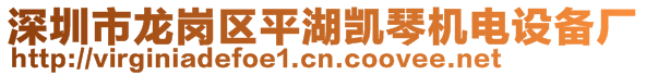 深圳市龍崗區(qū)平湖凱琴機電設(shè)備廠