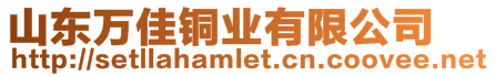 山東萬佳銅業(yè)有限公司