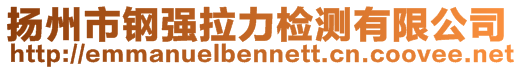 扬州市钢强拉力检测有限公司