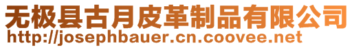 無極縣古月皮革制品有限公司