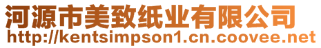 河源市美致紙業(yè)有限公司