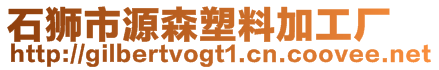 石獅市源森塑料加工廠