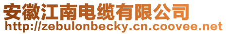安徽江南電纜有限公司