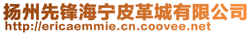 揚(yáng)州先鋒海寧皮革城有限公司