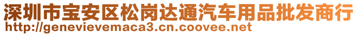 深圳市寶安區(qū)松崗達(dá)通汽車用品批發(fā)商行