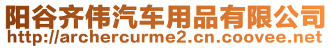 陽谷齊偉汽車用品有限公司