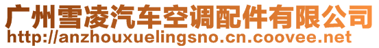廣州雪凌汽車空調配件有限公司