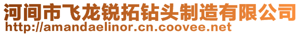 河間市飛龍銳拓鉆頭制造有限公司