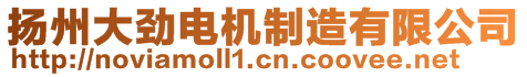 扬州大劲电机制造有限公司