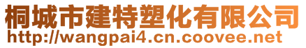 桐城市建特塑化有限公司