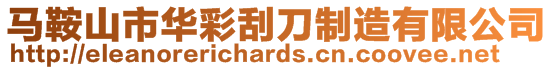 馬鞍山市華彩刮刀制造有限公司