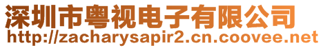 深圳市粵視電子有限公司