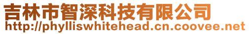 吉林市智深科技有限公司