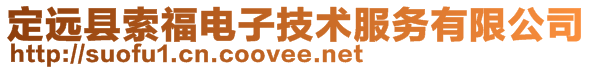 定遠縣索福電子技術(shù)服務(wù)有限公司