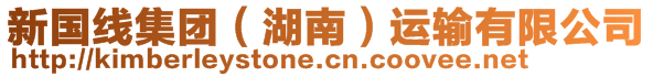 新國(guó)線集團(tuán)（湖南）運(yùn)輸有限公司