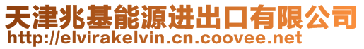 天津兆基能源進出口有限公司