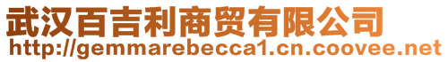 武漢百吉利商貿(mào)有限公司