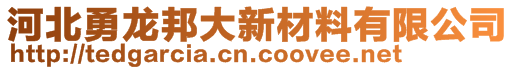 河北勇龍邦大新材料有限公司