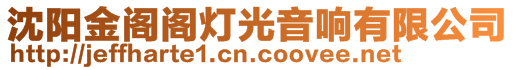 沈陽金閣閣燈光音響有限公司